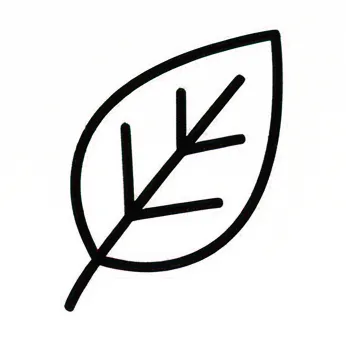 a leaf with a black outline on a white background.webp